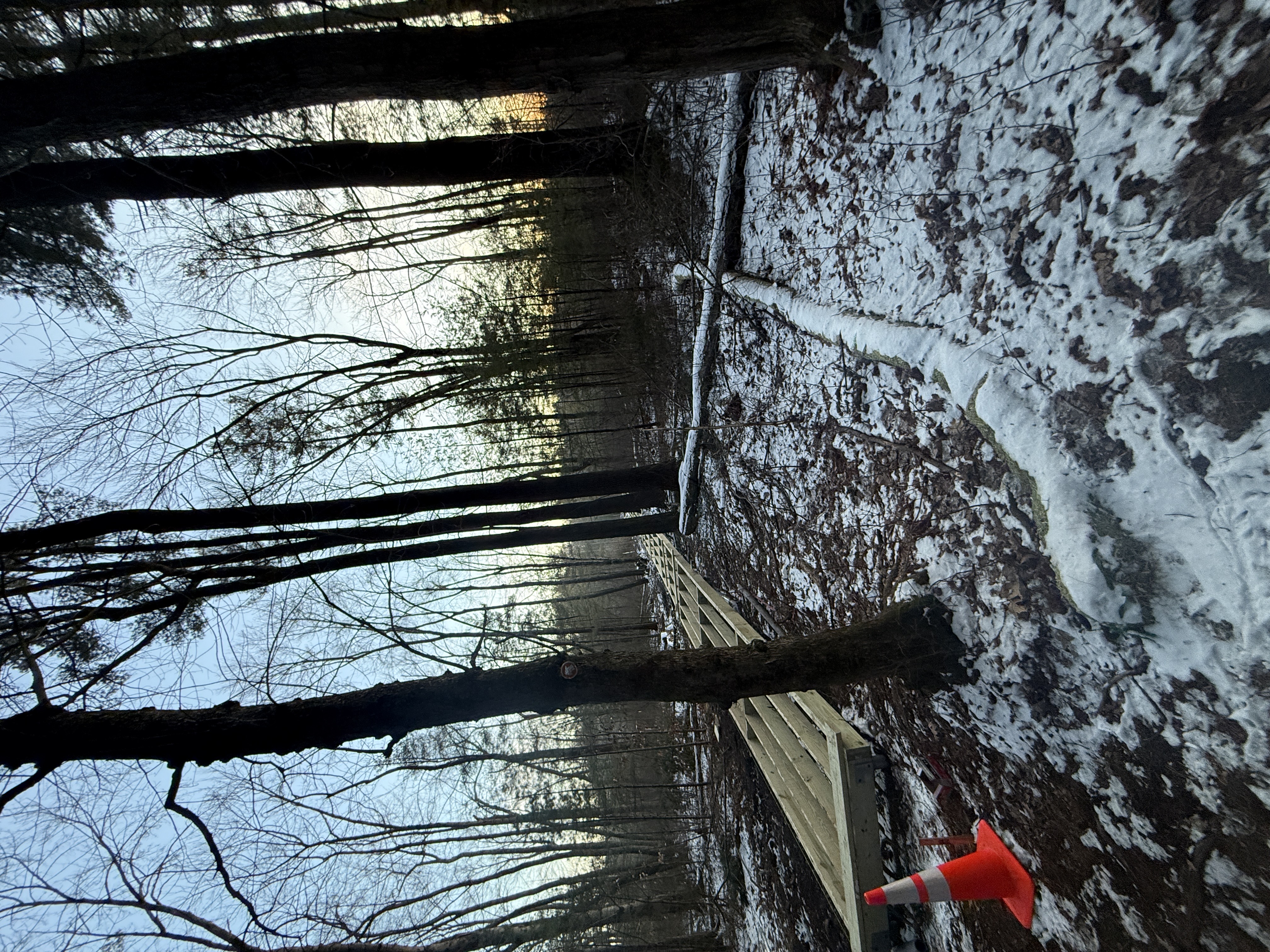 Floor Framing Structure - New Construction Project